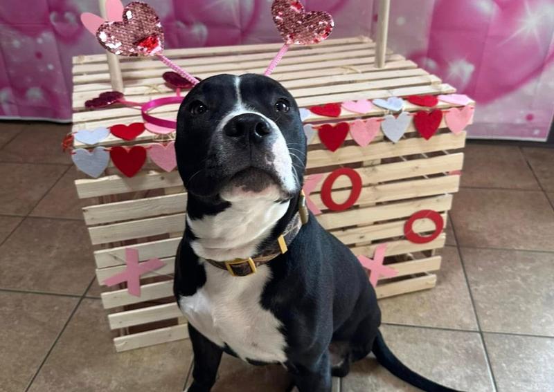 Carousel Slide 6: Howie doing his part at the Kissing Booth!